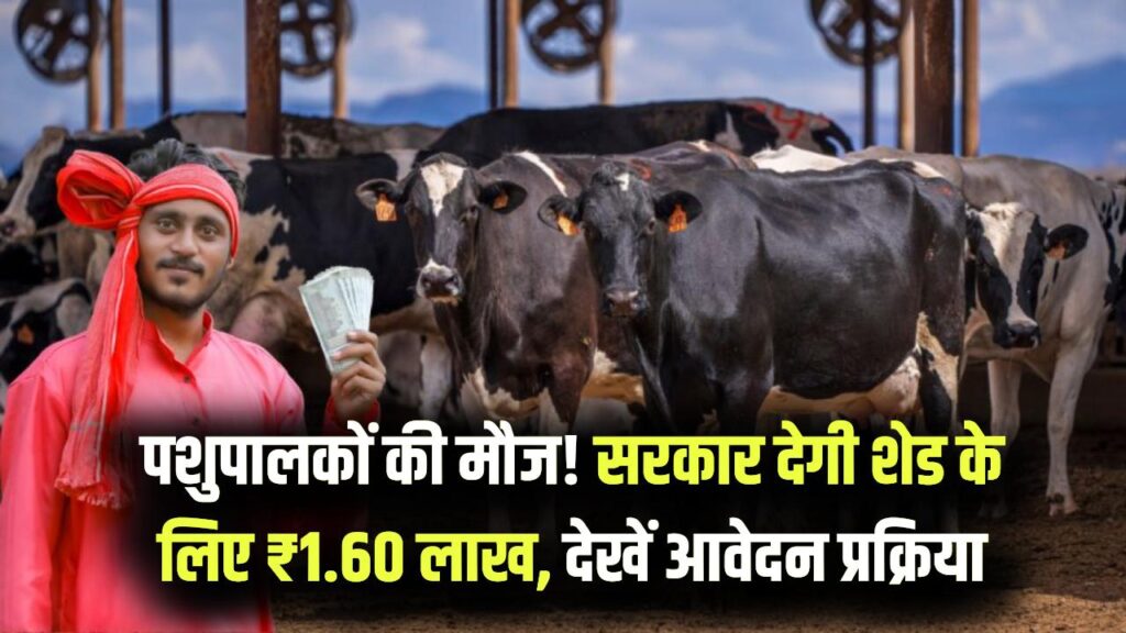 Pashu Shed Yojana: पशुपालकों को मिलेंगे ₹1.60 लाख! मनरेगा के तहत शेड बनाने के लिए सरकार दे रही है सीधी मदद, ऐसे करें ऑनलाइन आवेदन