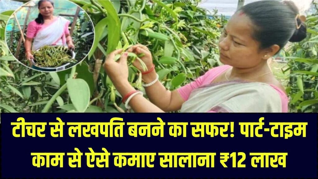 Inspiring Story: स्कूल के बाद शुरू किया छोटा सा काम, आज सालाना ₹12 लाख की कमाई! एक शिक्षक ने ऐसे बदली अपनी किस्मत