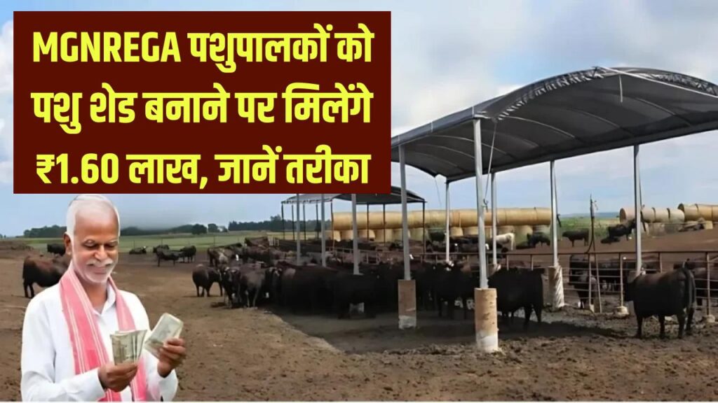 mgnrega pashu shed yojana