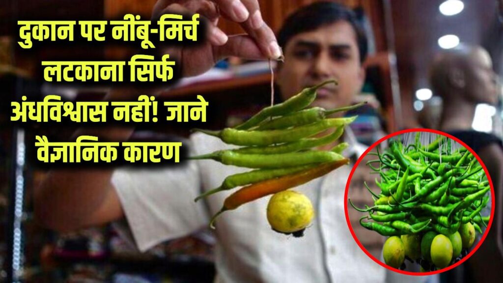 myth vs fact the truth about hanging lemon and chillies in indian culture