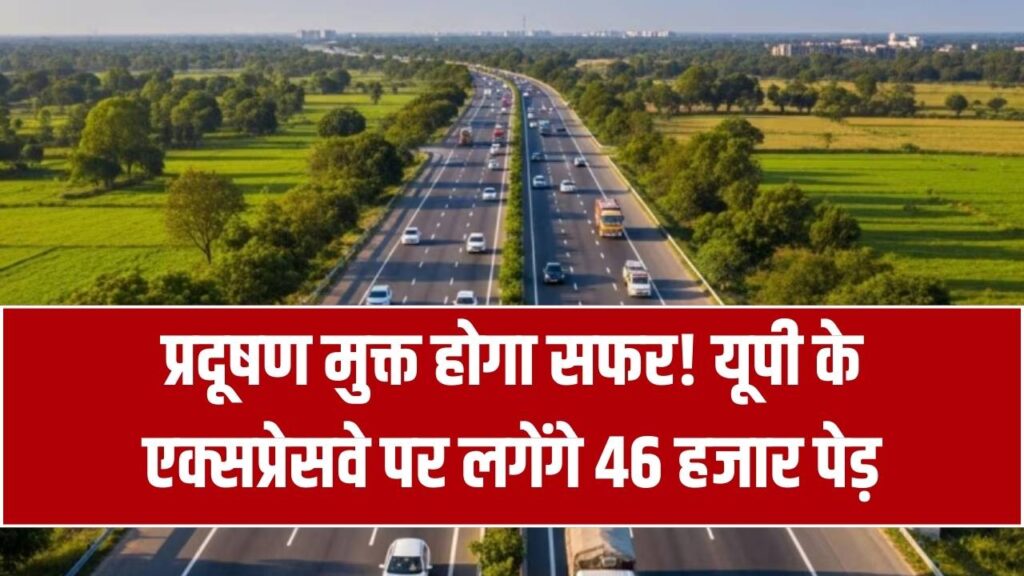 UP Expressway: हिल स्टेशन जैसा सफर! यूपी के इस एक्सप्रेसवे पर लगेंगे 46 हजार पेड़, प्रदूषण मुक्त होगा आपका सफर 1 UP Expressway: हिल स्टेशन जैसा सफर! यूपी के इस एक्सप्रेसवे पर लगेंगे 46 हजार पेड़, प्रदूषण मुक्त होगा आपका सफर