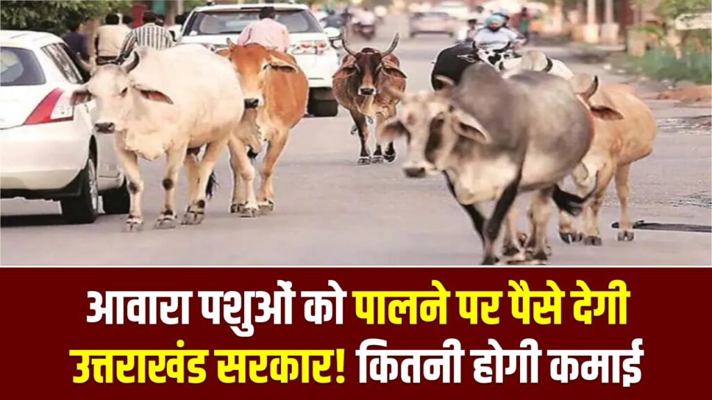 आवारा पशुओं को पालने पर पैसे देगी उत्तराखंड सरकार! हर महीने कितनी होगी कमाई, जानें पूरा प्लान