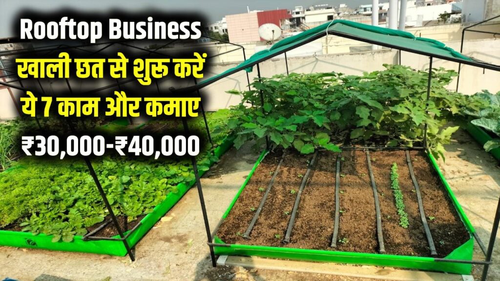 Rooftop Business Ideas: घर की खाली छत से शुरू करें ये 7 काम, हर महीने ₹30,000–₹40,000 की कमाई