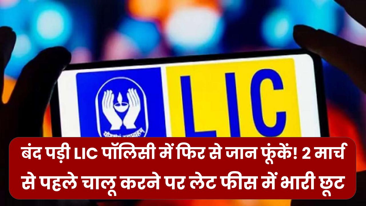 बंद पड़ी LIC पॉलिसी में फिर से जान फूंकें! 2 मार्च से पहले चालू करने पर लेट फीस में भारी छूट; ये मौका दोबारा नहीं मिलेगा।