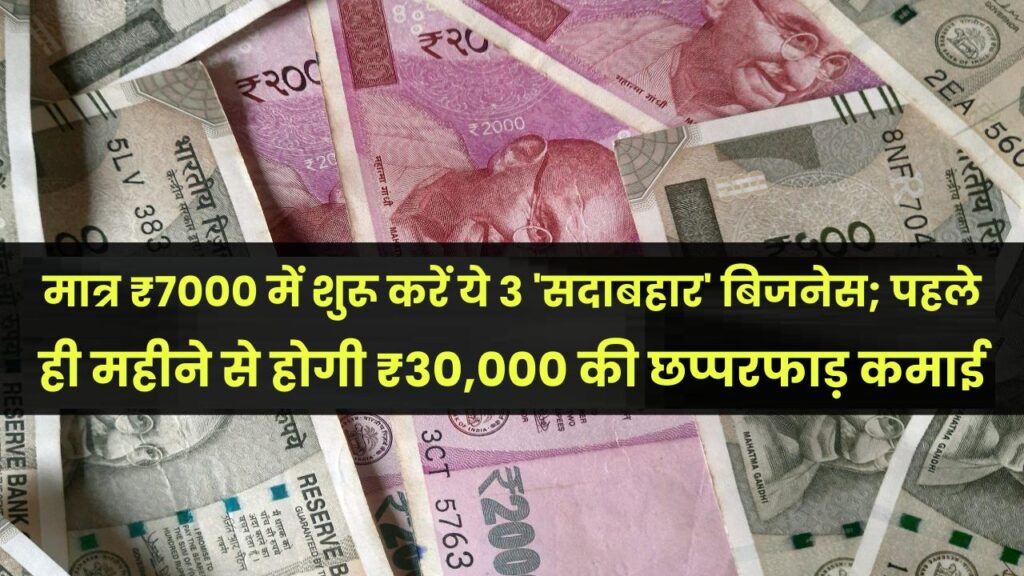 नौकरी की टेंशन छोड़ें! मात्र ₹7000 में शुरू करें ये 3 'सदाबहार' बिजनेस; पहले ही महीने से होगी ₹30,000 की छप्परफाड़ कमाई।