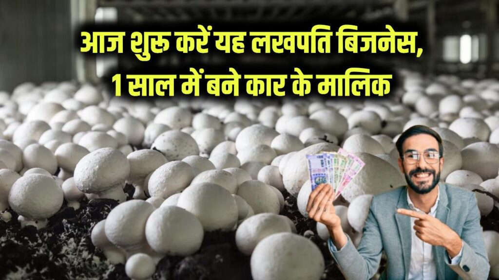 mushroom farming successful business